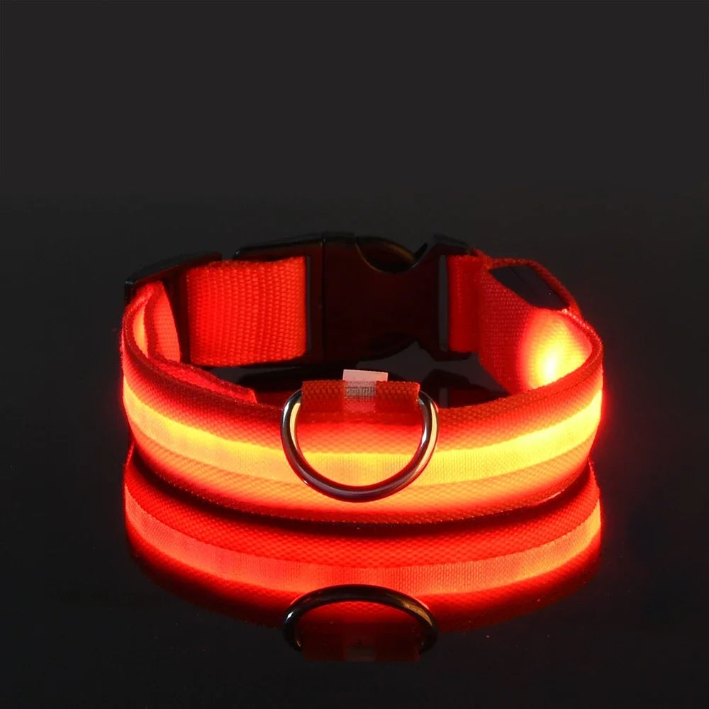 Coleira de nylon para cães, coleira de segurança noturna com LED que brilha no escuro, coleira fluorescente luminosa para cães, acessórios para cães.
