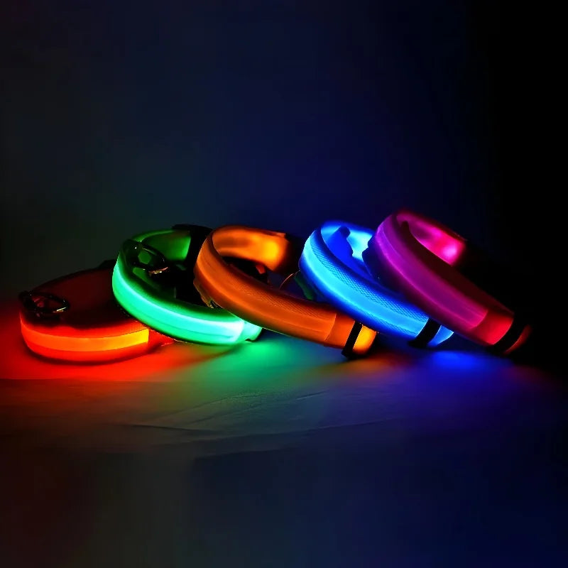 Coleira de nylon para cães, coleira de segurança noturna com LED que brilha no escuro, coleira fluorescente luminosa para cães, acessórios para cães.