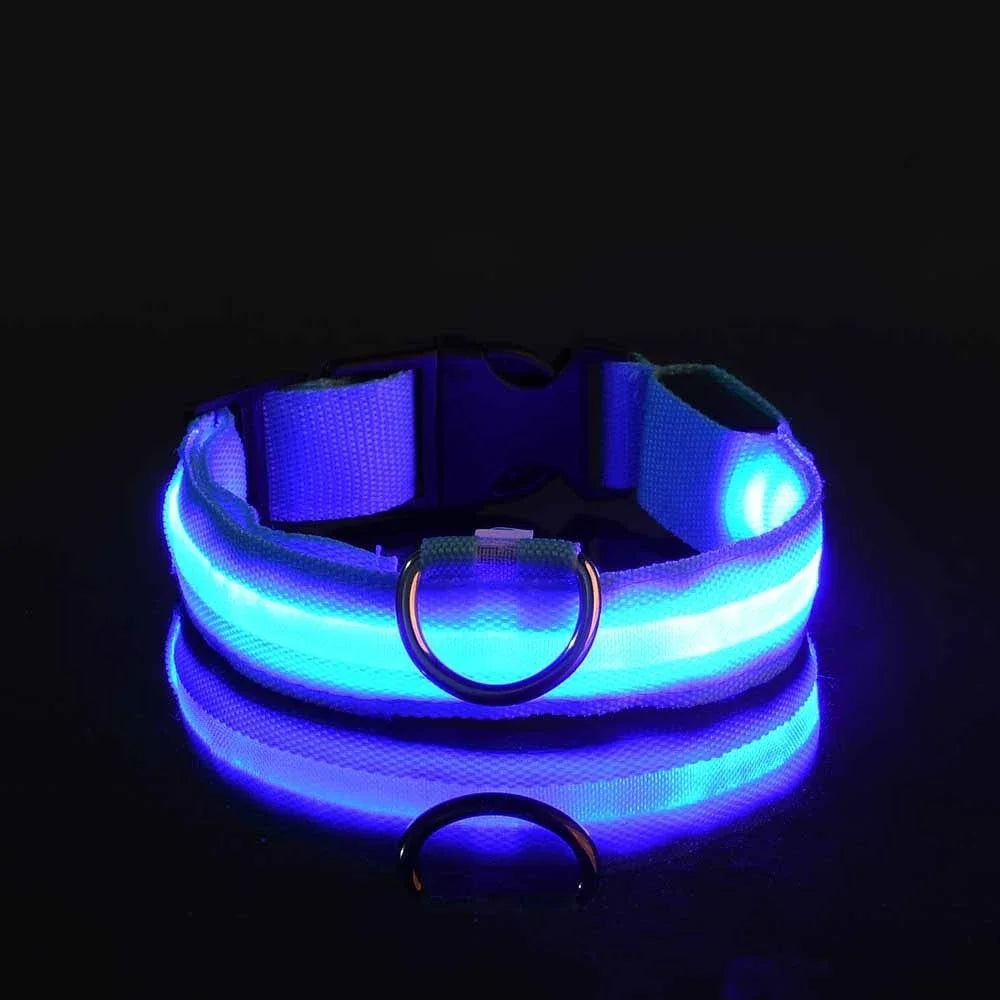 Coleira de nylon para cães, coleira de segurança noturna com LED que brilha no escuro, coleira fluorescente luminosa para cães, acessórios para cães.