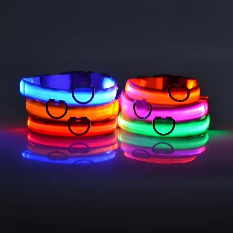 Coleira de nylon para cães, coleira de segurança noturna com LED que brilha no escuro, coleira fluorescente luminosa para cães, acessórios para cães.