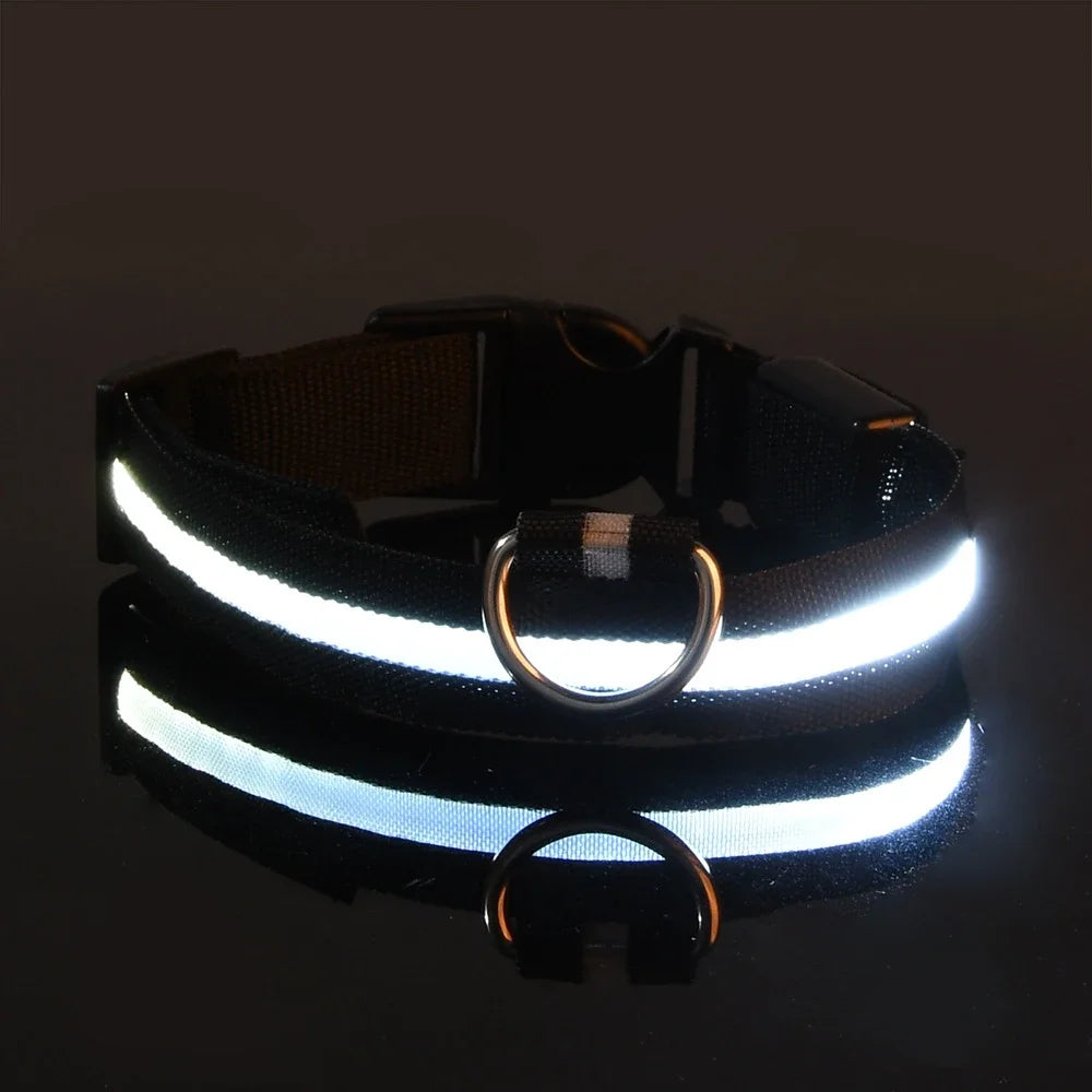 Coleira de nylon para cães, coleira de segurança noturna com LED que brilha no escuro, coleira fluorescente luminosa para cães, acessórios para cães.