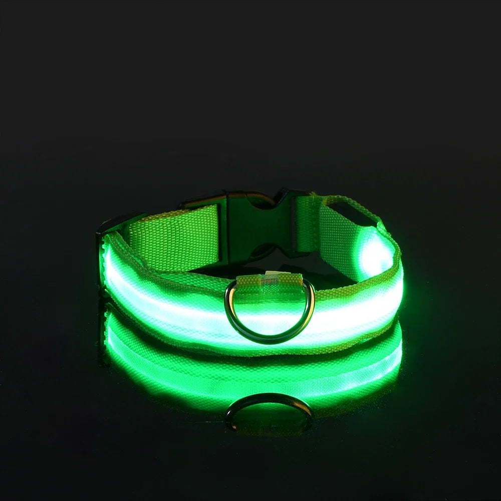 Coleira de nylon para cães, coleira de segurança noturna com LED que brilha no escuro, coleira fluorescente luminosa para cães, acessórios para cães.