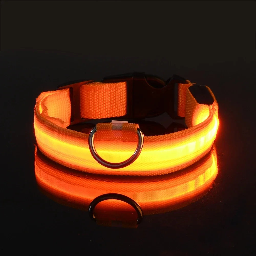 Coleira de nylon para cães, coleira de segurança noturna com LED que brilha no escuro, coleira fluorescente luminosa para cães, acessórios para cães.