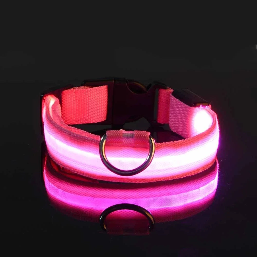 Coleira de nylon para cães, coleira de segurança noturna com LED que brilha no escuro, coleira fluorescente luminosa para cães, acessórios para cães.