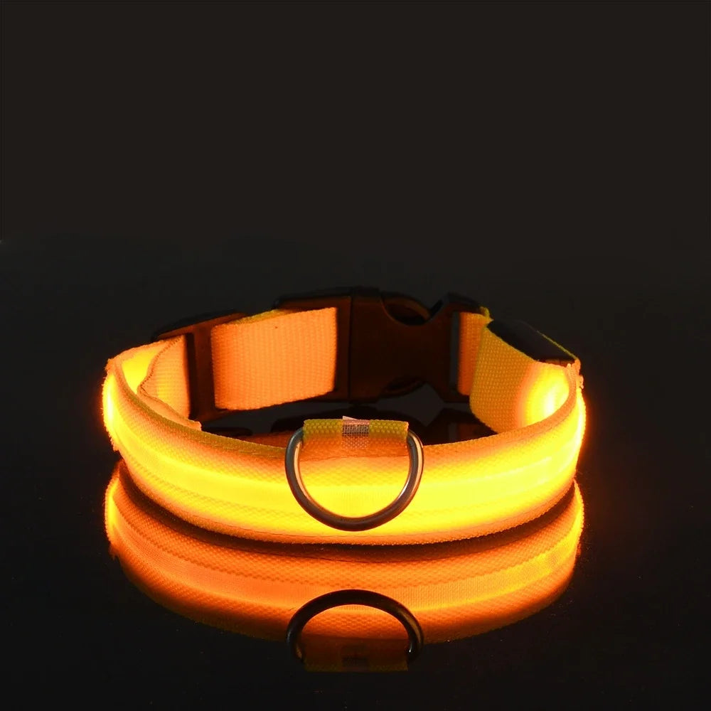 Coleira de nylon para cães, coleira de segurança noturna com LED que brilha no escuro, coleira fluorescente luminosa para cães, acessórios para cães.