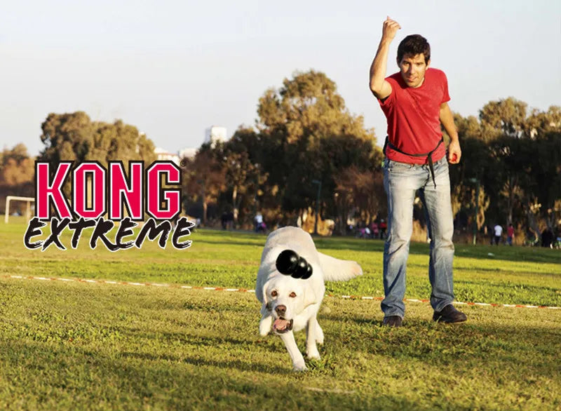 Brinquedo para cães KONG Extreme S-XXL com sua escolha de petisco para cães