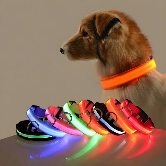 Coleira de nylon para cães, coleira de segurança noturna com LED que brilha no escuro, coleira fluorescente luminosa para cães, acessórios para cães.